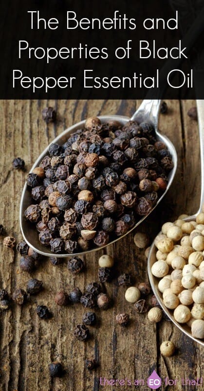 The Benefits and Properties of Black Pepper Essential Oil